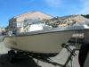 Barco CLEAR LINER 5.25 con Yamaha